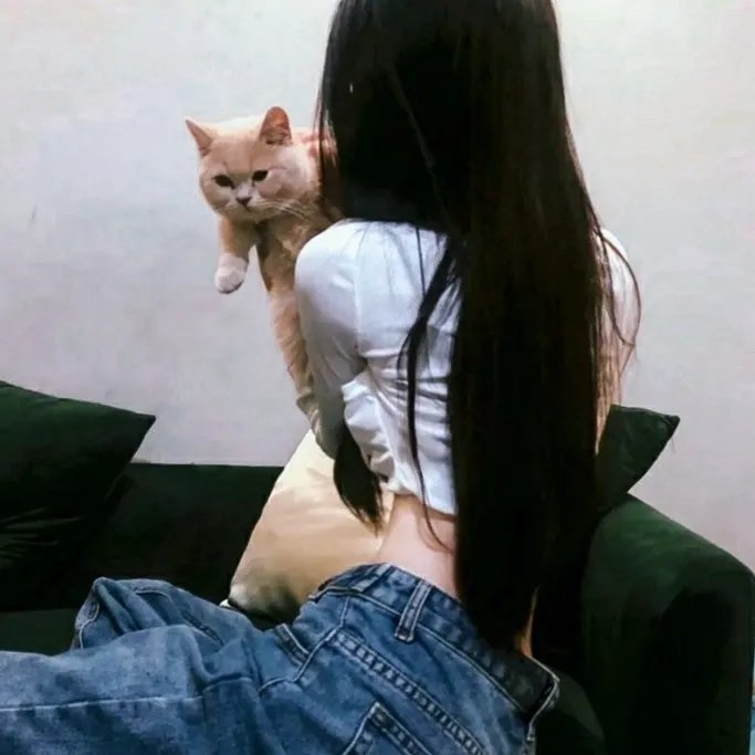 猛虎过山