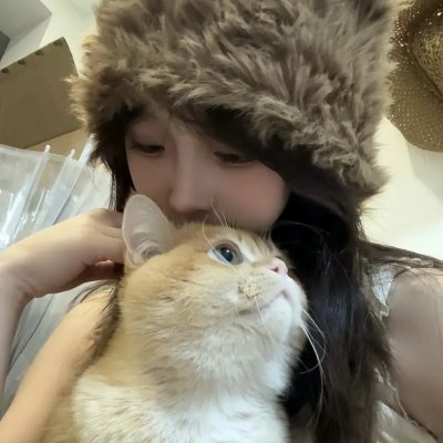 招惹